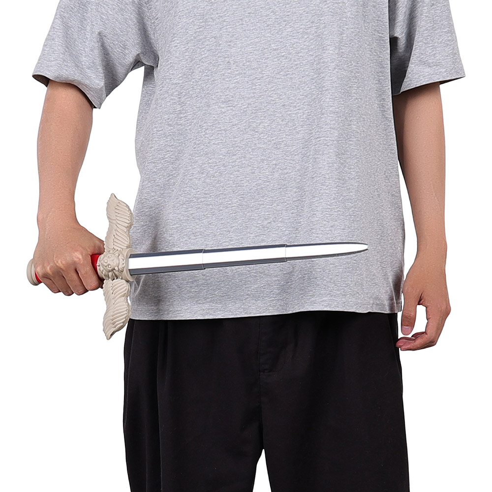 Disguise Laios Schwerter Ornam – Cosplay Prop Sword Bewertung und Preis