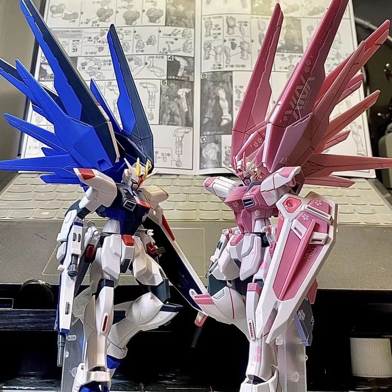 JMS HG 1/144 ZY-06 Freedom Ass – Bandai Gundam Rg Bewertung und Preis
